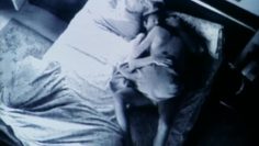 Angie-Harmon-Sex-scene-Video-Voyeur-The-Susan-Wilson-Story.mp4 thumbnail