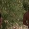 Jennifer Connelly – Nude scene – The Hot Spot (1990).mp4