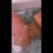 Jessica Sulikowski – Leaked Onlyfans nackt Video.mp4