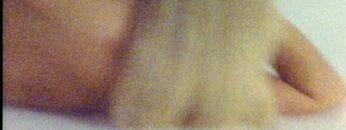 Erika-Eleniak-Nude-Playboys-Babes-of-Baywatch-1998.mp4 thumbnail