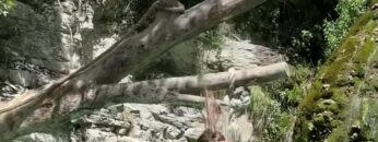 Trainingfabi-Sexy-Video-Leak.mp4 thumbnail