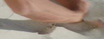 Madonna-Nude-scene-Swept-Away-2002.mp4 thumbnail