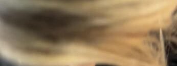 Morgan-Moore-Onlyfans-video-leak.mp4 thumbnail