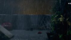 Amy-Adams-Sexy-The-Woman-in-the-Window-2021.mp4 thumbnail