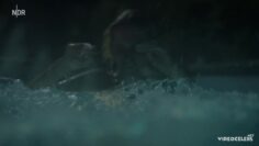 Maria-Furtwangler-Sexy-Bis-zur-Wahrheit-2024.mp4 thumbnail