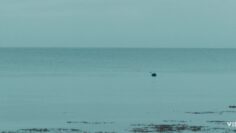 Saoirse-Ronan-Nude-The-Outrun-2024.mp4 thumbnail