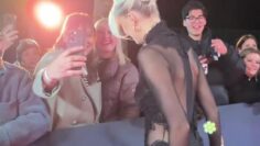 Lena-Gercke-Bambi-2025-Braless-sess-through-dress.mp4 thumbnail