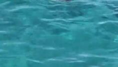 xFibii-Privater-Video-Leak.mp4 thumbnail