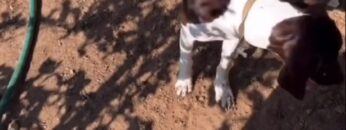 Heidi-Klum-Sexy-Bikini-Clip.mp4 thumbnail