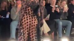 Kendall-Jenner-Sexy-see-through-catwalk.mp4 thumbnail