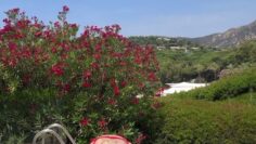 Lena-Gercke-Hot-Bikini-VIdeo.mp4 thumbnail