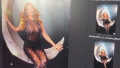 Palina-Rojinski-Sexy-see-through-Clip.mp4 thumbnail