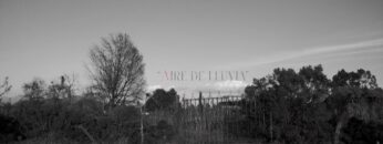 Ana-Valeria-Becerril-Sexy-Aire-de-lluvia-2020.mp4 thumbnail