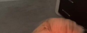 Anna-Faith-Carlson-Leaked-Onlyfans-porn.mp4 thumbnail