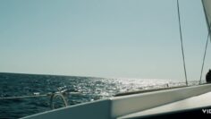 Sexy – Deep Fear (2023)