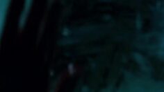 Sarah-Roemer-Nude-Asylum-2008.mp4 thumbnail