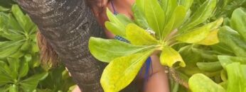 Vanessa-Mai-Sexy-Instagram-Reel.mp4 thumbnail