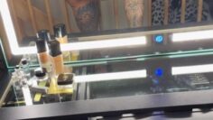 Julia-Jasmin-Ruhle-followjuliajasmin-Sexy-Onlyfans-Clip.mp4 thumbnail