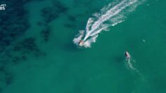 Virginia-Gardner-Sexy-Beautiful-Wedding-2024.mp4 thumbnail