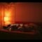 Paloma-Bernardi-Nude-Arcanjo-Renegado-s04e06-e08-e09-2025.mp4 thumbnail