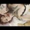 Edith-Stehfest-Leaked-Tit-Slip.mp4 thumbnail