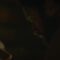 Katee-Sackhoff-Blu-Hunt-Nude-sexy-Another-Life-s01e08-2019.mp4 thumbnail
