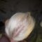 ThatYoungBlonde-Onlyfans-porn-leak.mp4 thumbnail