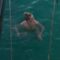 Chiara-Tews-Sexy-Bikini-Video.mp4 thumbnail