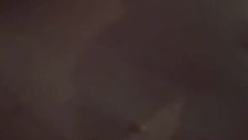 Lisa-Straube-Komplett-nackt-Onlyfans.mp4 thumbnail