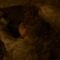 Jena-Malone-Nude-Angelica-2015.mp4 thumbnail