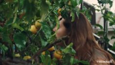 Jena-Malone-Nude-Sylvia-2026.mp4 thumbnail