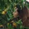 Jena Malone – Nude – Sylvia (2026).mp4
